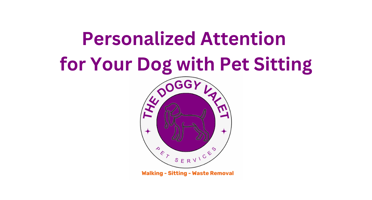 Personalized Attention for Your Dog with Pet Sitting