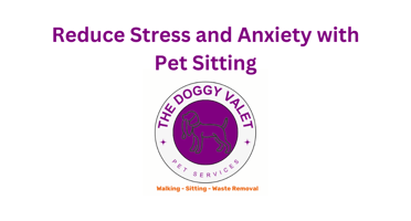 The Benefits of Pet Sitting at Home - Reduce Stress & Anxiety for Pets